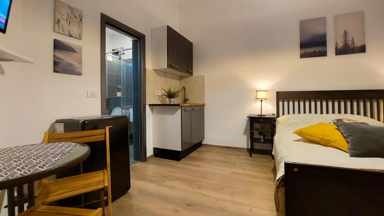 Apartment Amzei &